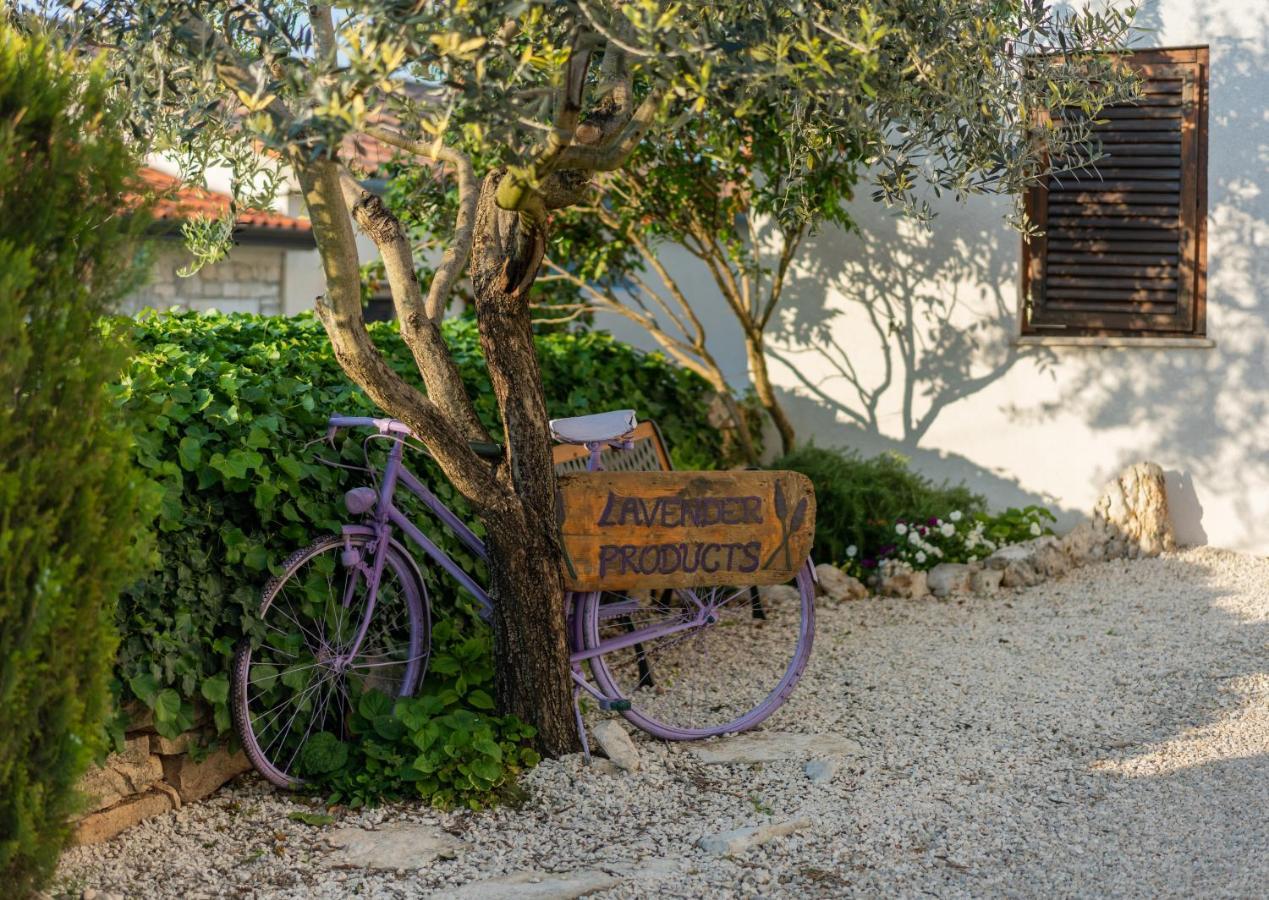 Lavanda Apartments & Room Sveti Lovreč Pazenatički Dış mekan fotoğraf